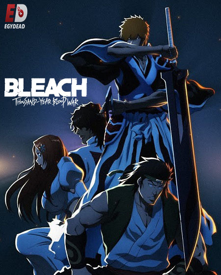 مشاهدة انمي Bleach الموسم الثاني الحلقة 30 مترجمة